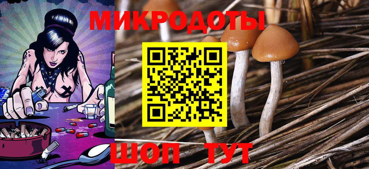 Галлюциногенные грибы GOLDEN TEACHER Холмск